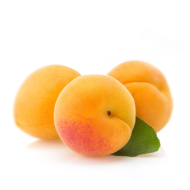 Feinster Aprikosenbrand