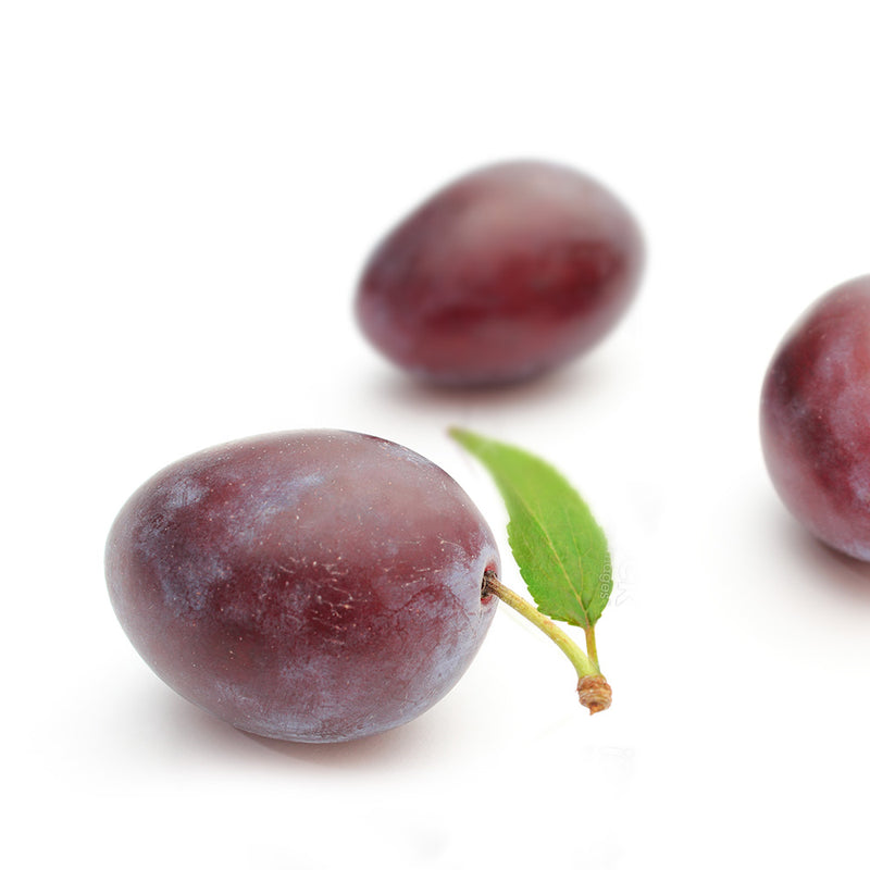 Feinster alter Pflaumenbrand