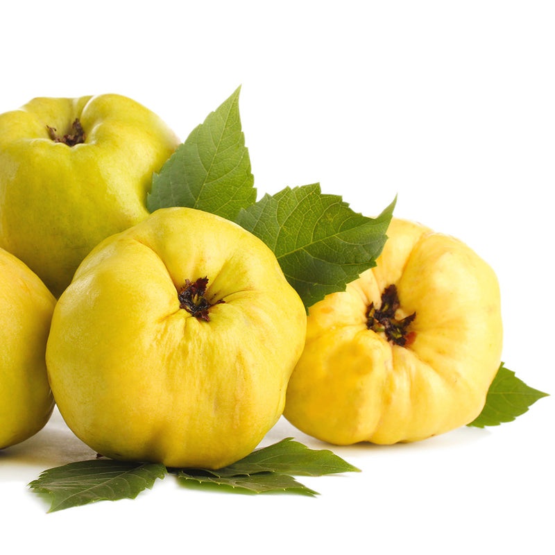 Quittenbrand