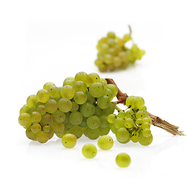 Traubenbrand Riesling