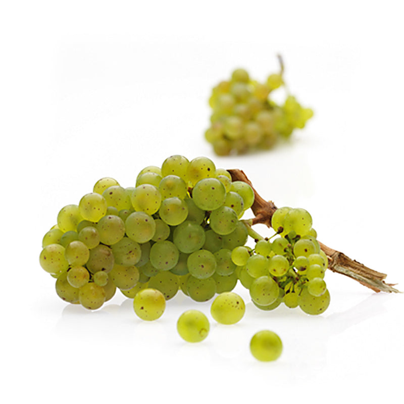 Weinbrand Riesling