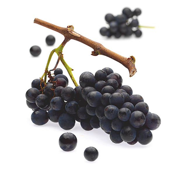 Weinbrand Spätburgunder