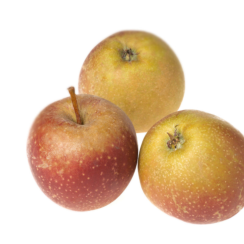 Apfelbrand Boskop